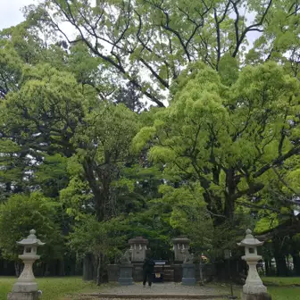 大斎原
明治22年の十津川の大水害まではコチラに熊野本宮大社があった。