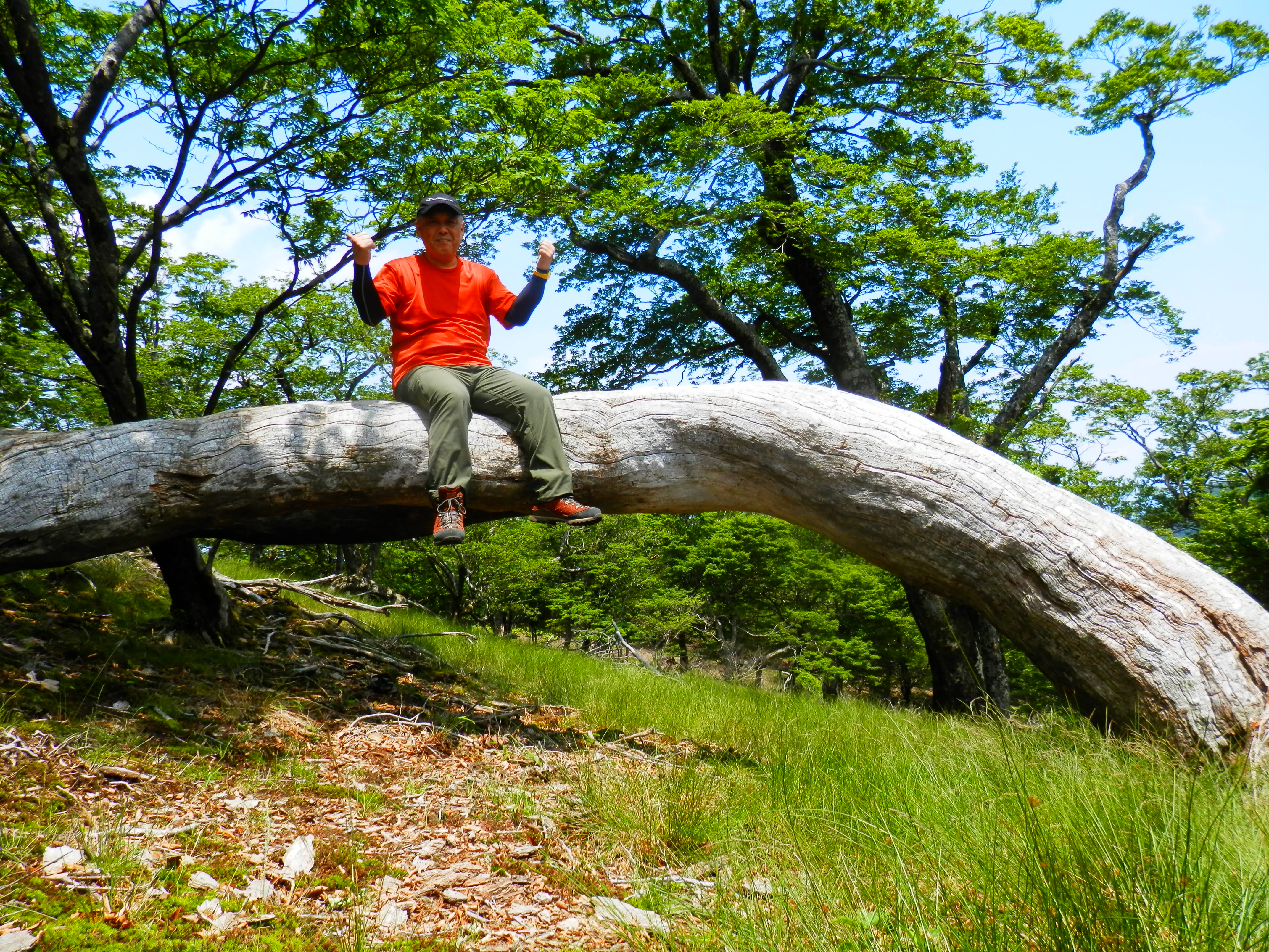 親父山 障子岳 黒岳 三尖 たこやきマンさんの祖母山の活動日記 Yamap ヤマップ