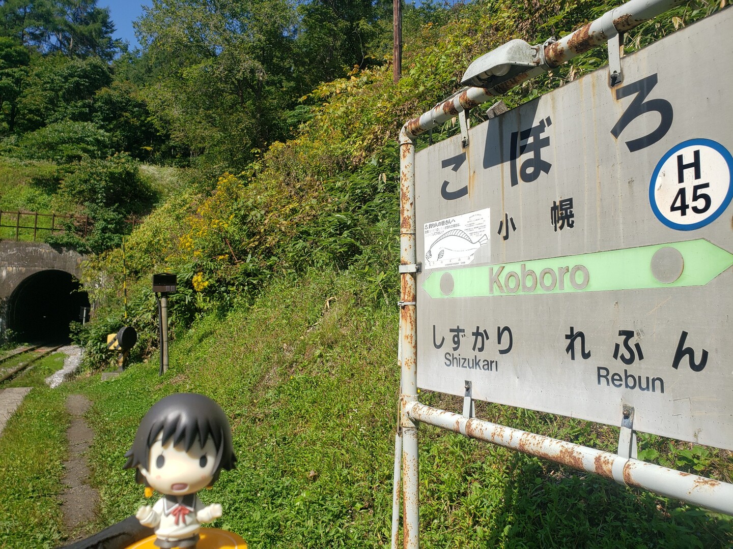 秘境駅No1小幌駅～海岸へ / 翔空とったんさんの礼文華峠の活動データ | YAMAP / ヤマップ