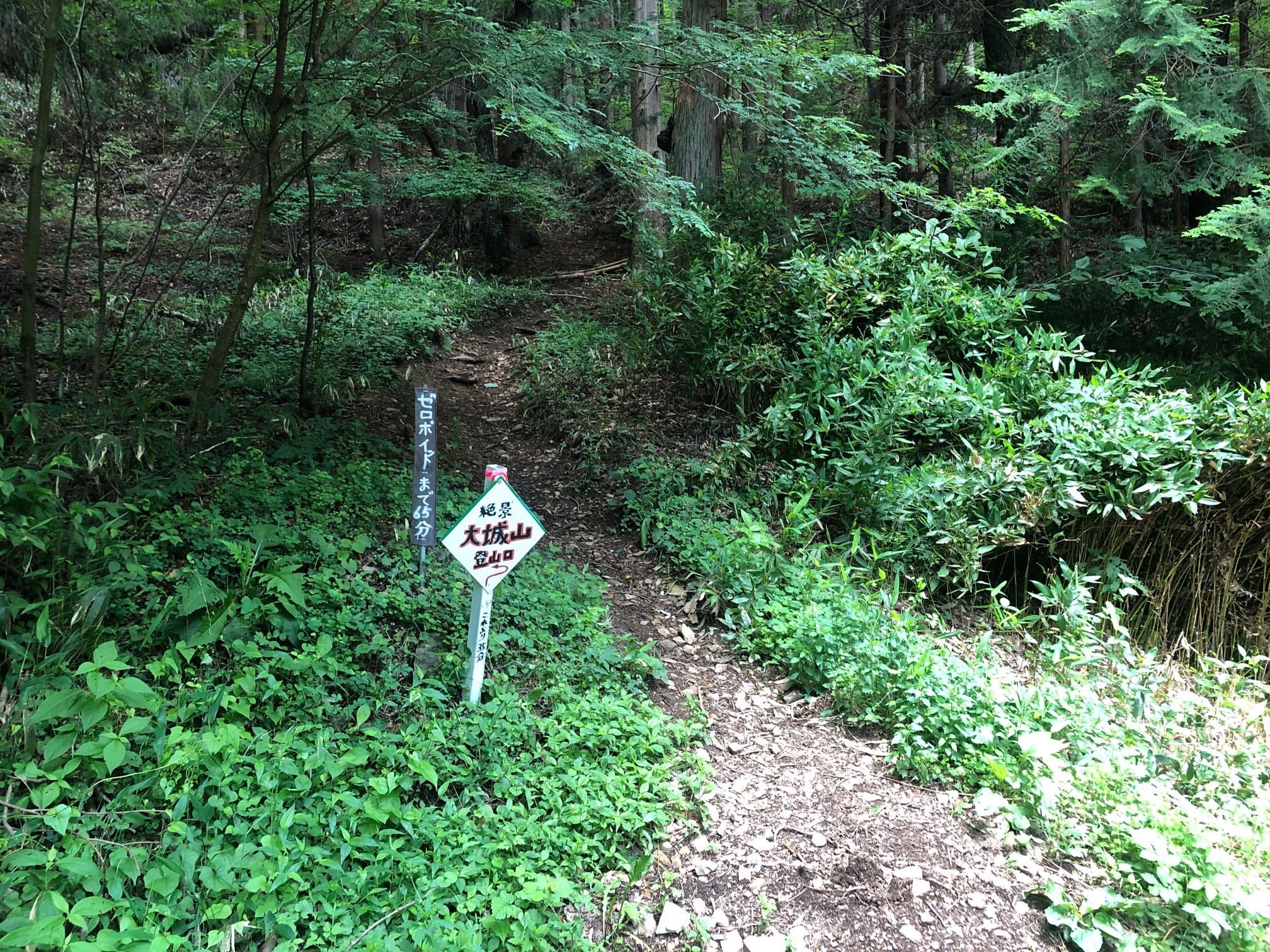 薄暗い、登り口は、なんだか不気味　笑