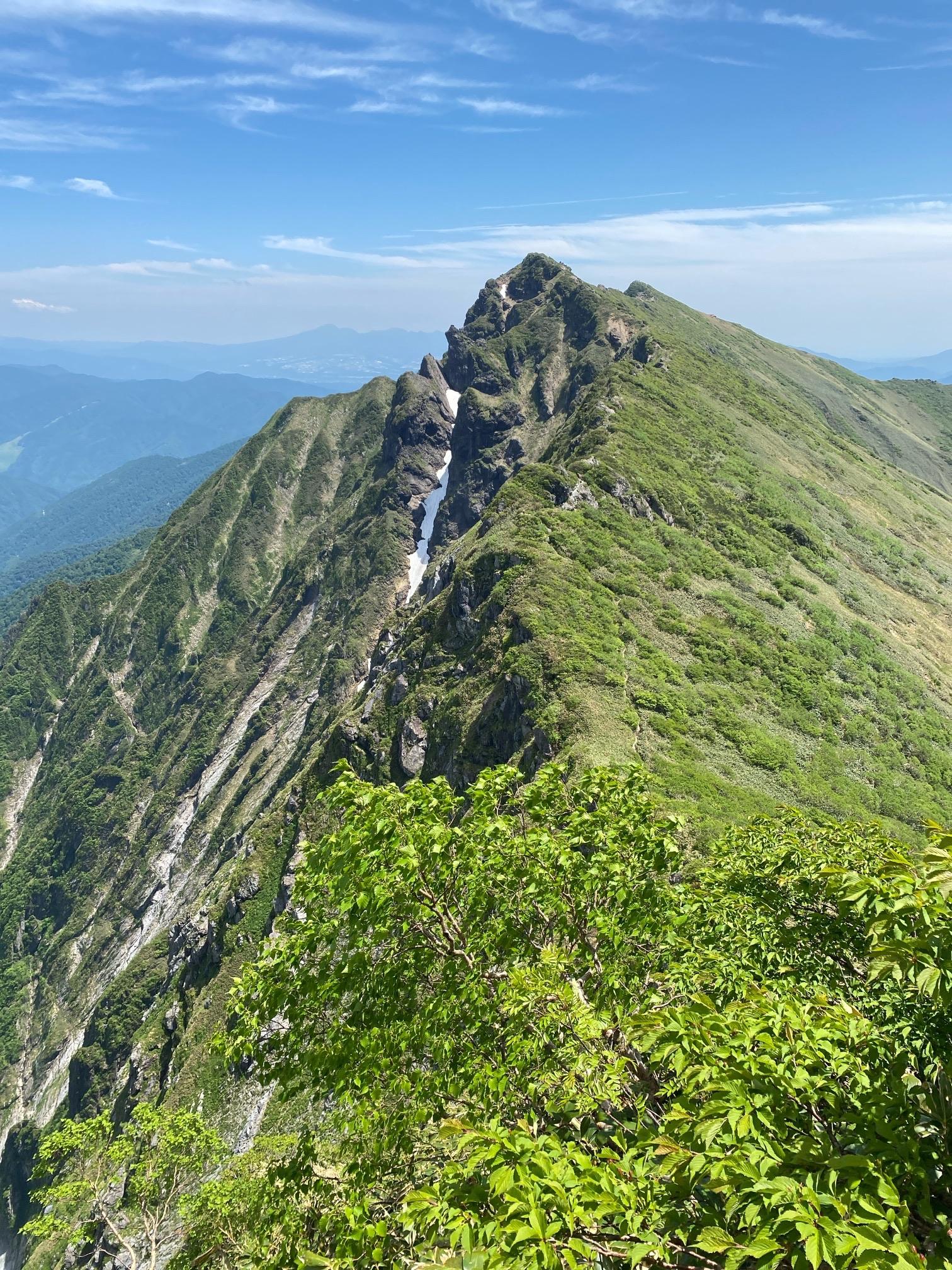 流木 程よかっ A302