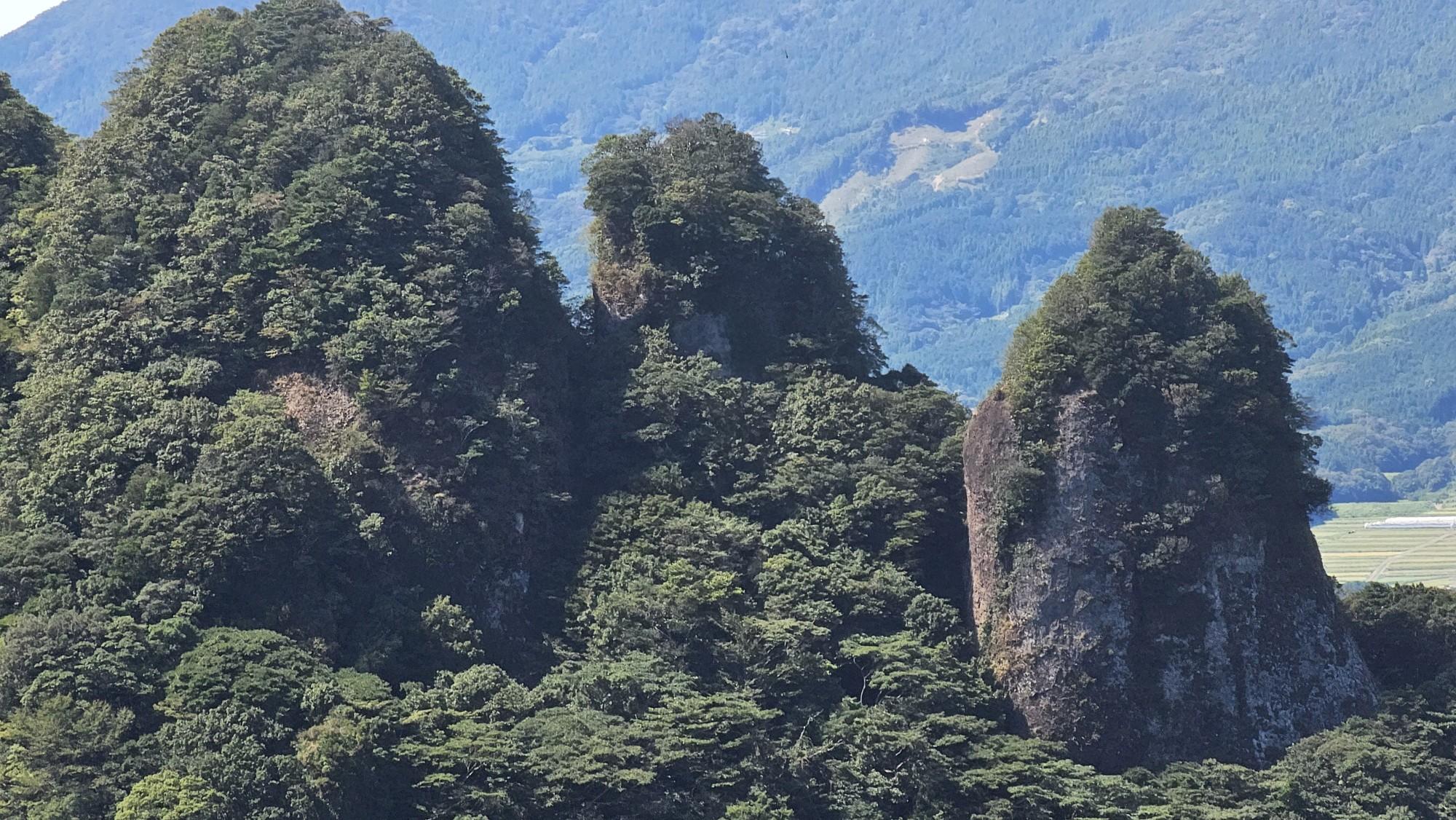 1ecad5d8-6f5a-482d-b868-