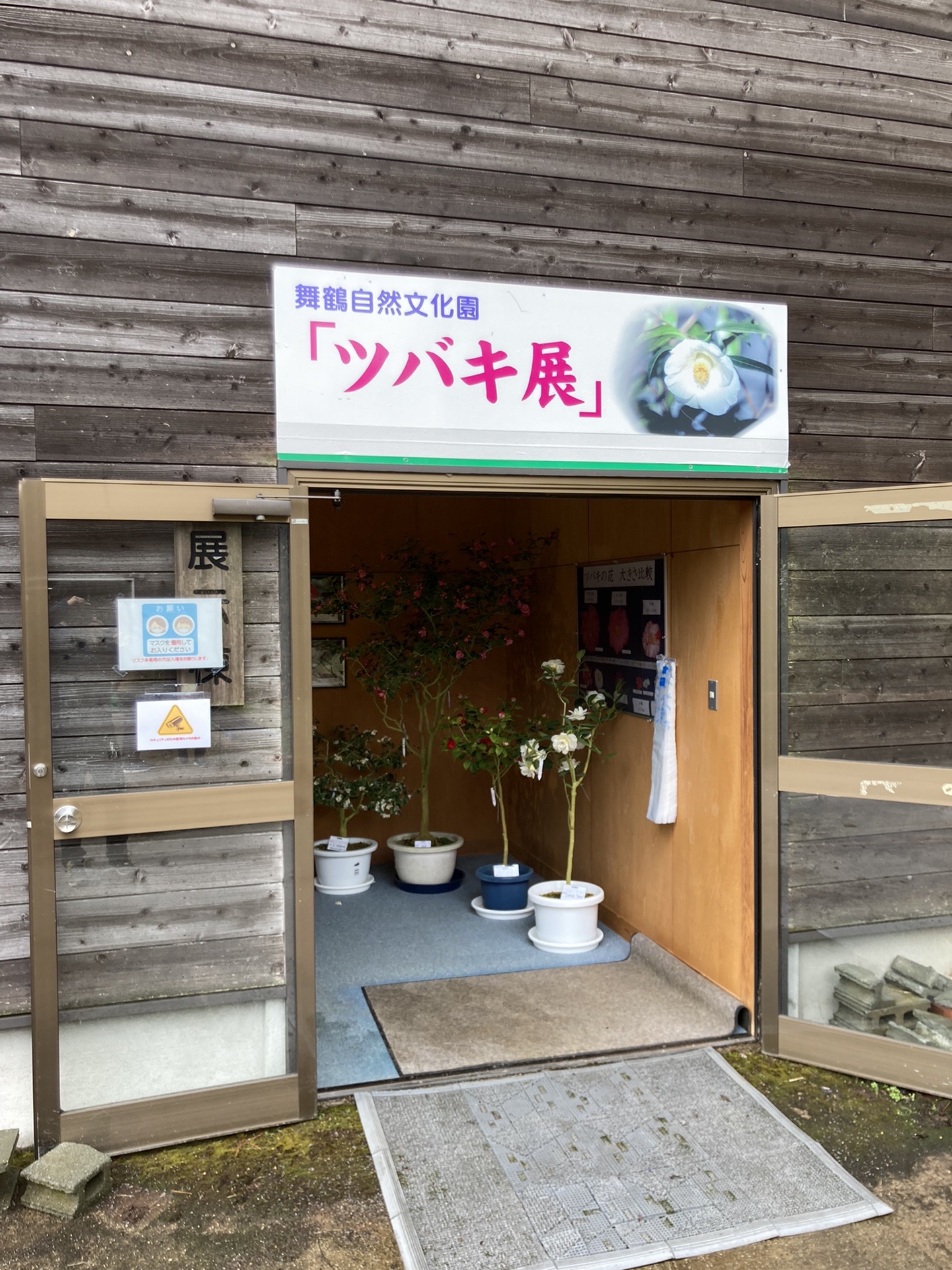 舞鶴にツバキ目当てで Let Sドライブ ウォーキング Mon21さんの多祢山 空山の活動日記 Yamap ヤマップ