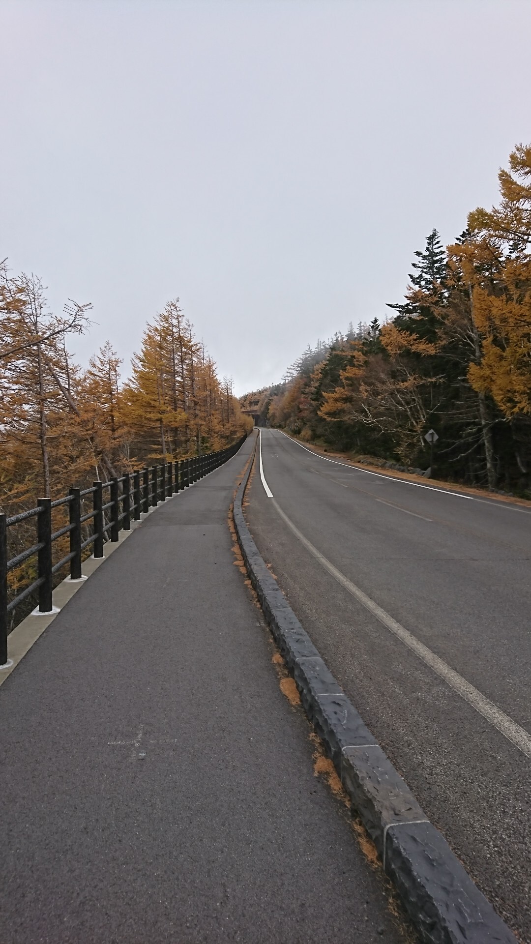 馬返し 吉田口五合目 奥庭 10 26 ムラタコさんの富士山の活動日記 Yamap ヤマップ