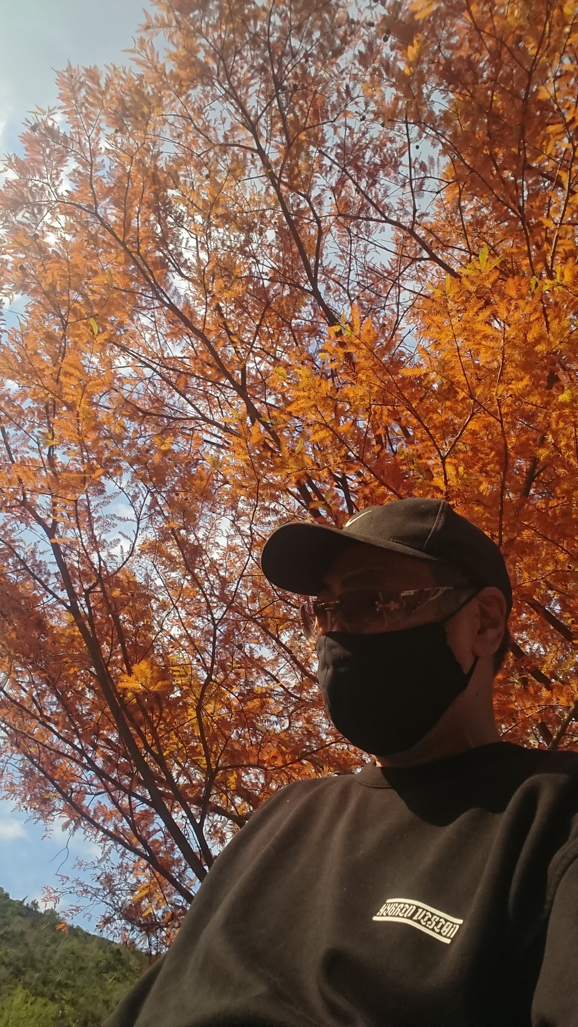 古法華自然公園の紅葉散策 ブラックさんの加西アルプス 笠松山 善防山の活動データ Yamap ヤマップ