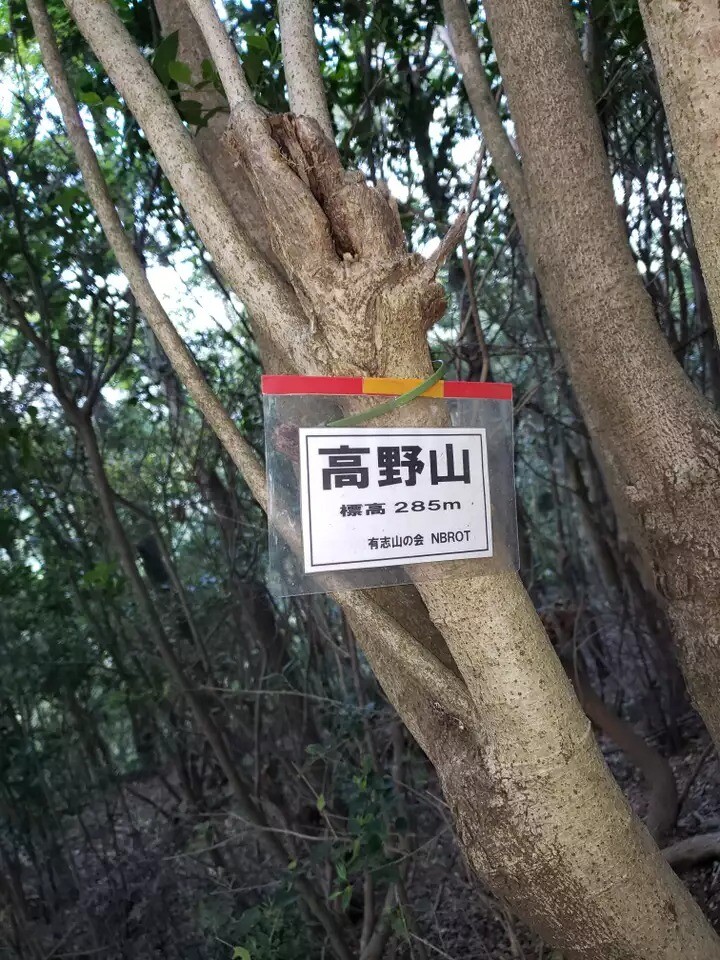 高野山 大阪府 大阪 の山総合情報ページ 登山ルート 写真 天気情報など Yamap ヤマップ