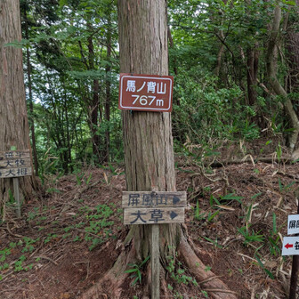 馬の背山