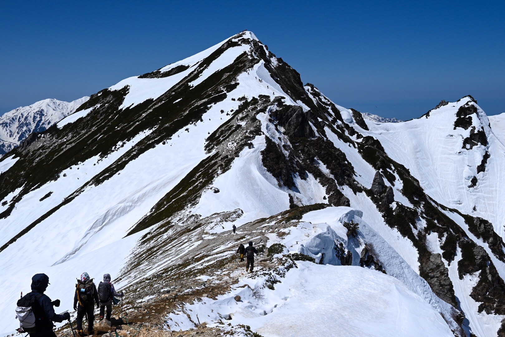 1f283554444842db8ecb30d70829e8