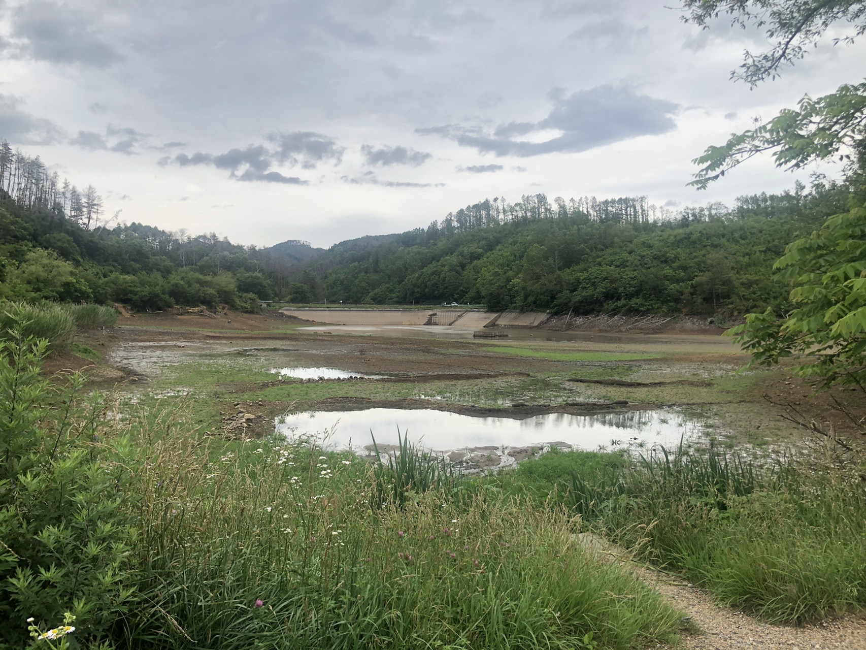 芥子坊主 07 05 玉子丼さんの松本市の活動日記 Yamap ヤマップ