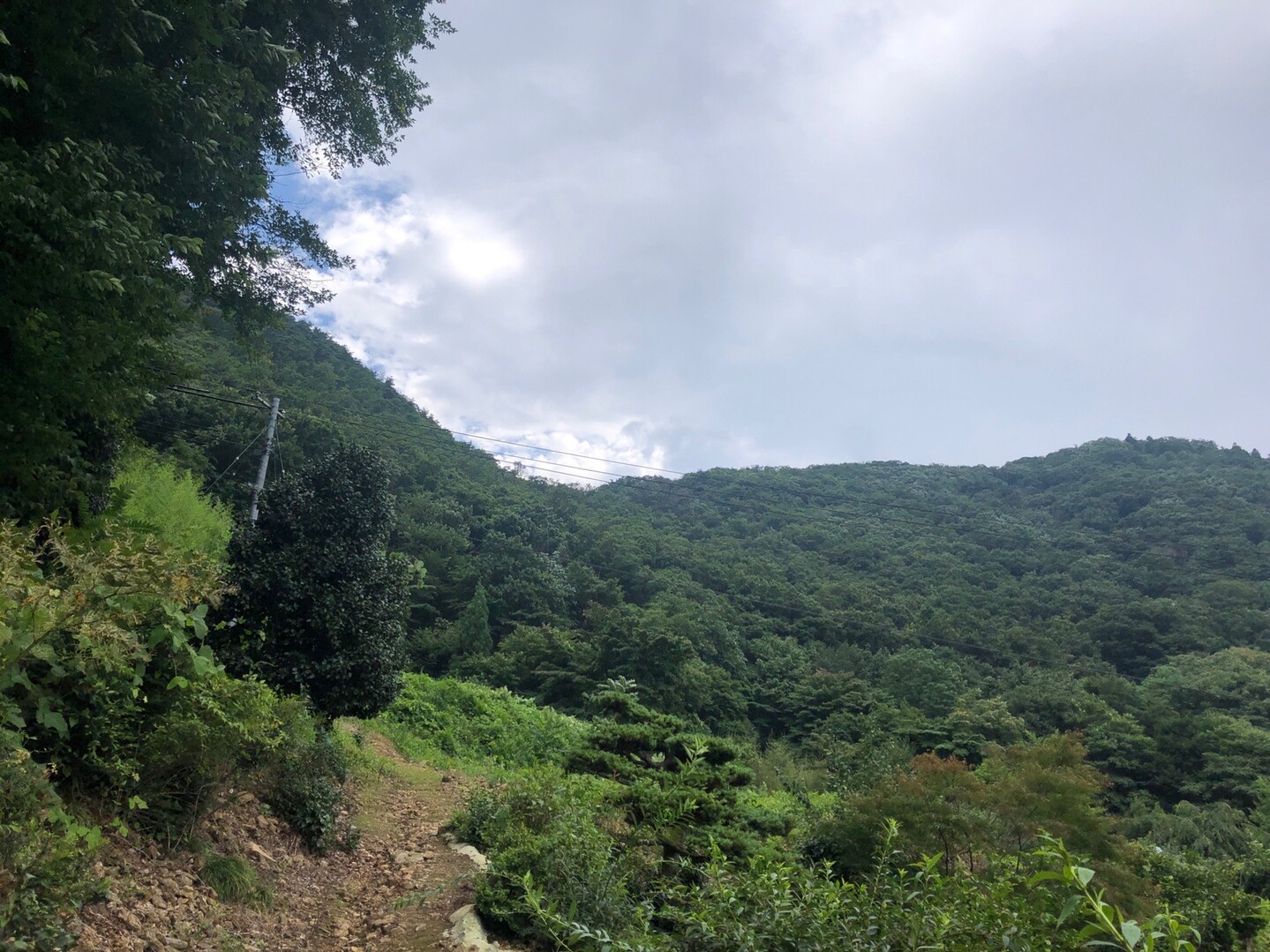 信夫山(羽黒山)・信夫山(熊野山) / ヒッポさんの福島市の活動データ YAMAP / ヤマップ