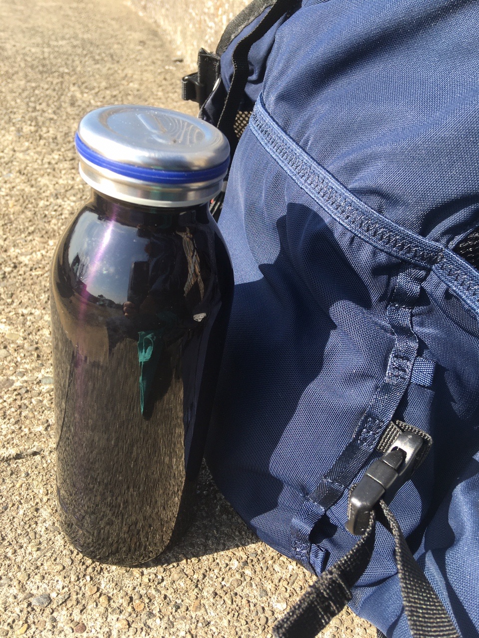 ソロモンよ 私は帰ってきた タカさんの鎌倉アルプス 大平山 天台山 の活動データ Yamap ヤマップ