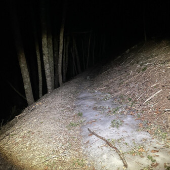 鳳凰山・地蔵岳・観音岳・薬師岳 杖立峠から凍結箇所出てきたよ👀
こんな所で滑って鈍く痛めたくないので、足場気を付けて歩きます🐾