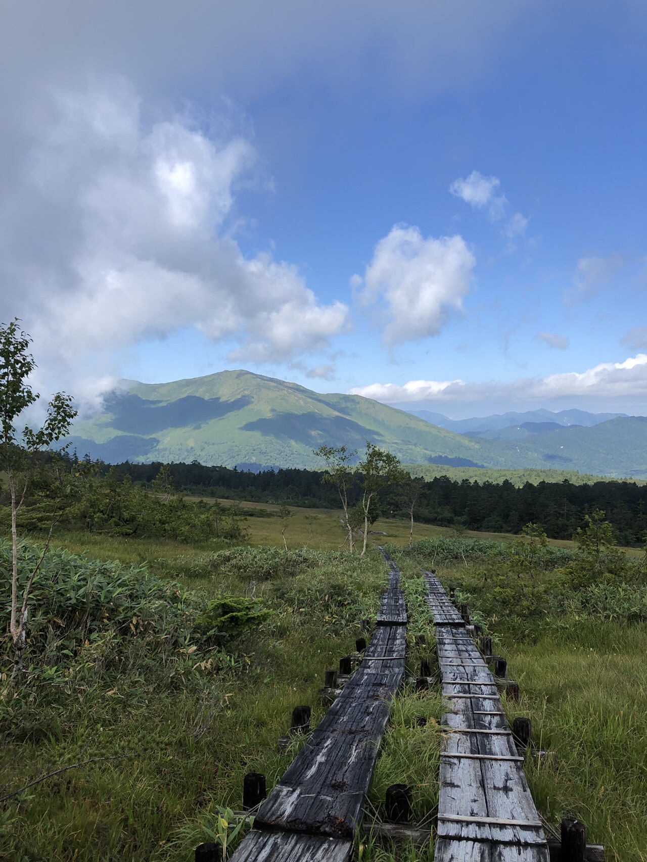 尾瀬 富士見峠からアヤメ平 尾瀬ヶ原 Inaさんの尾瀬 燧ヶ岳の活動データ Yamap ヤマップ
