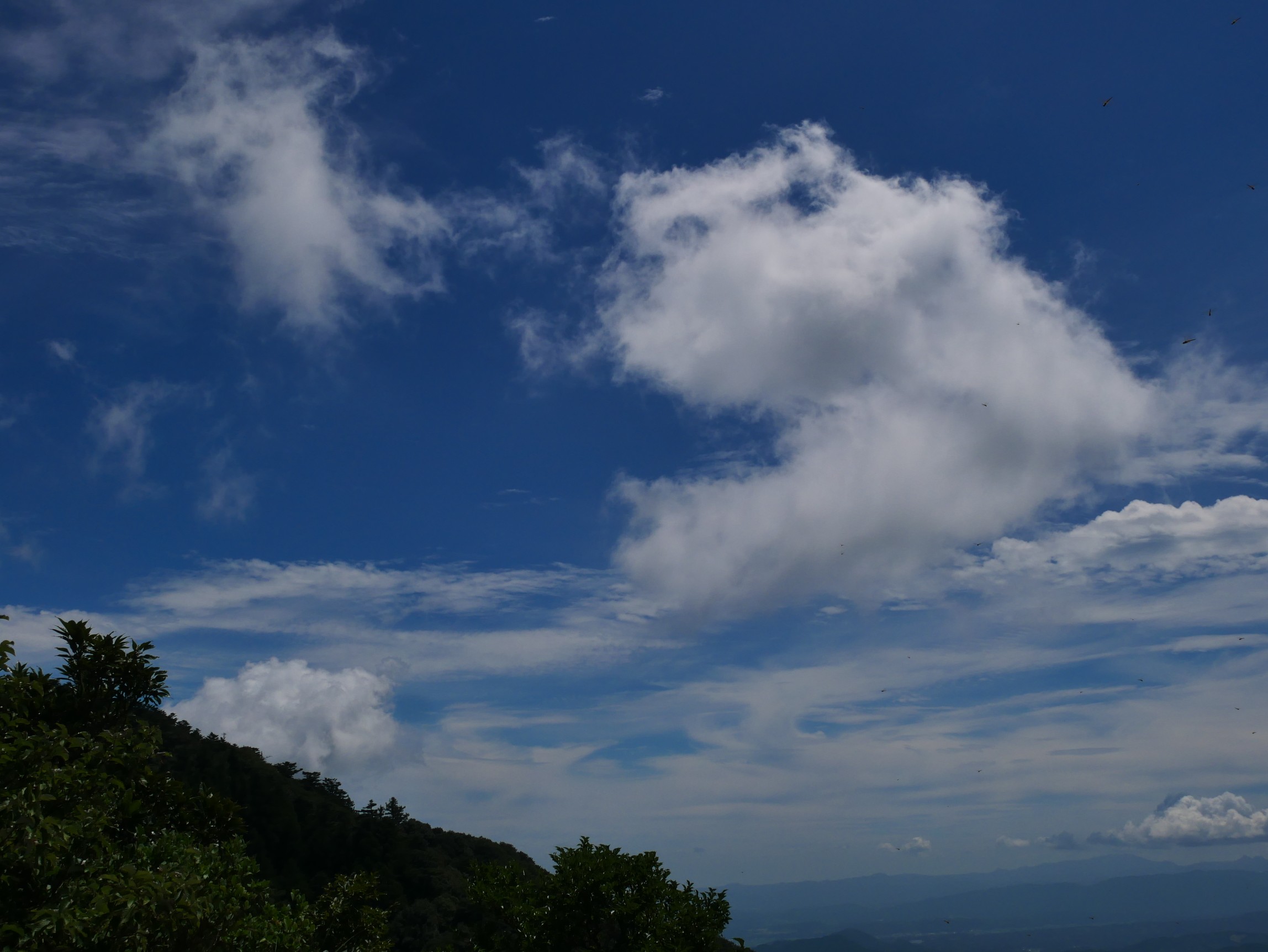 夏空の宝満山 ほづみちゃんさんの宝満山 三郡山 若杉山の活動データ Yamap ヤマップ