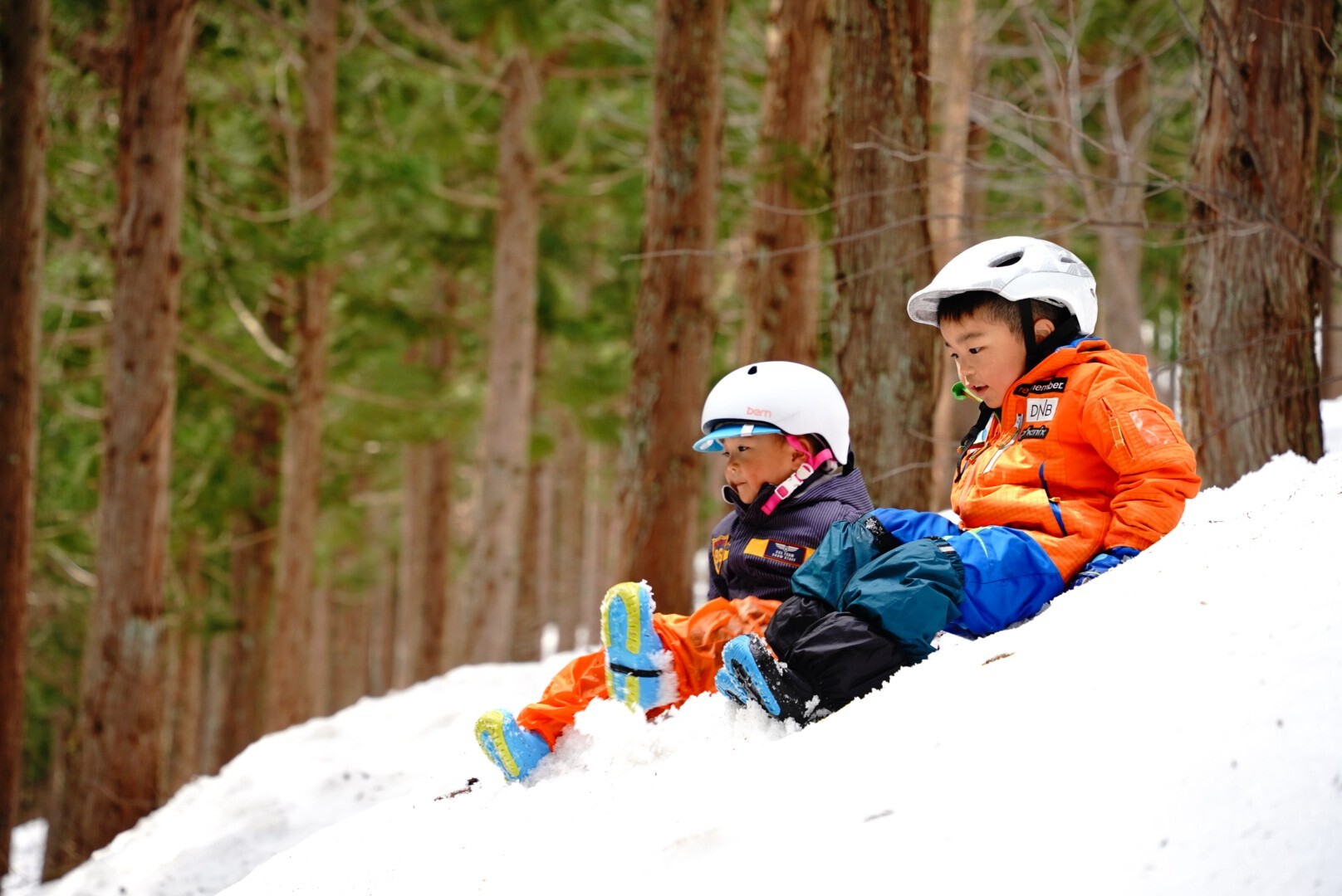 シリセードの与四兵衛山 2022313 / ぽ（ファミリーハイクしてます）さんの鍬崎山・大品山・瀬戸蔵山の活動データ YAMAP / ヤマップ