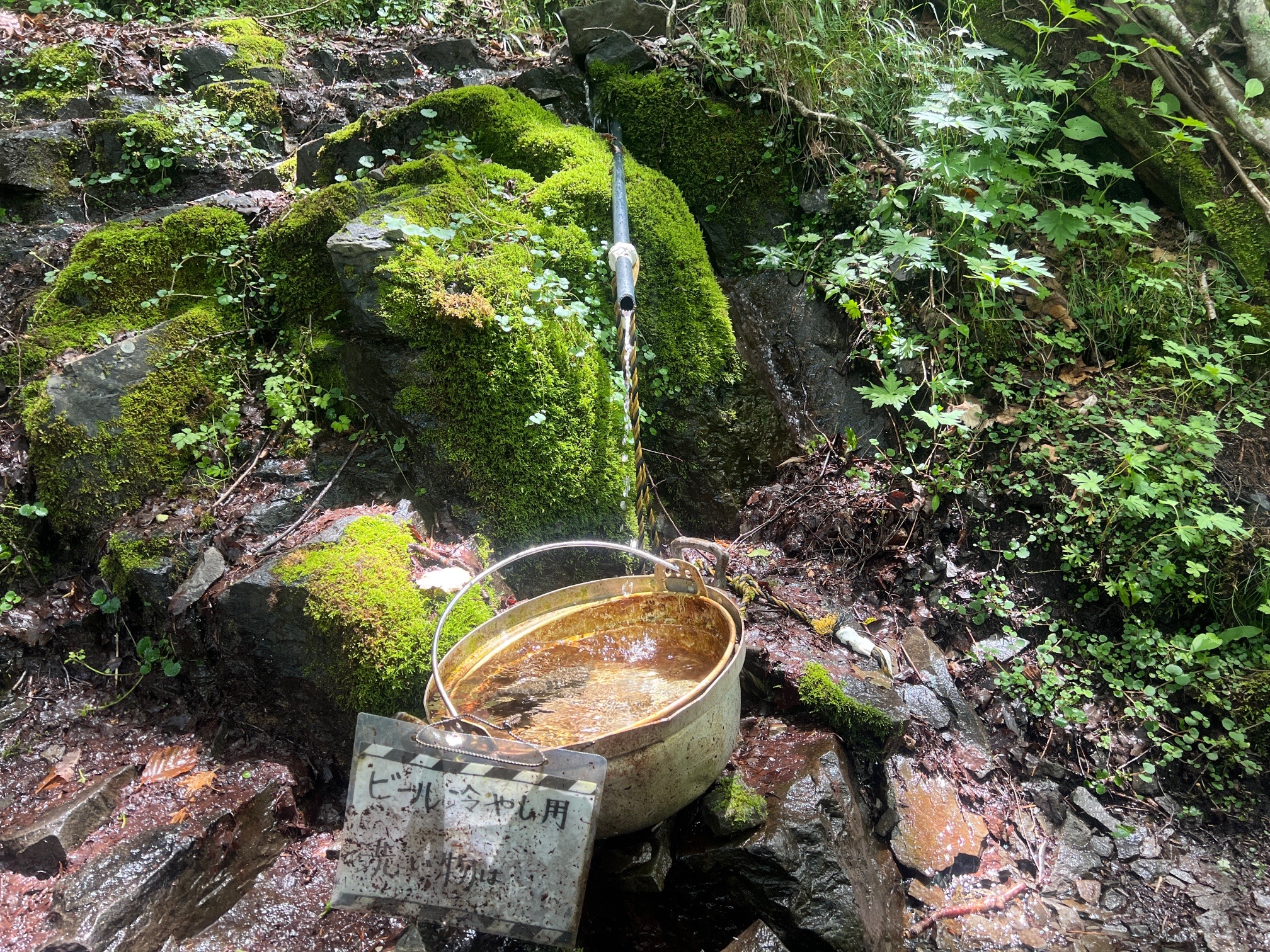 小屋下、直ぐなので、テン泊も 水には不自由しないよね。