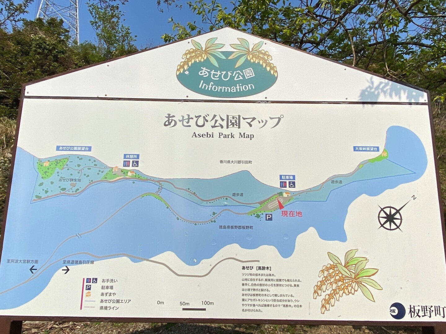 板野町 あせび公園 境山 鉢伏山 あせび温泉 いぶきさんの板野町の活動日記 Yamap ヤマップ
