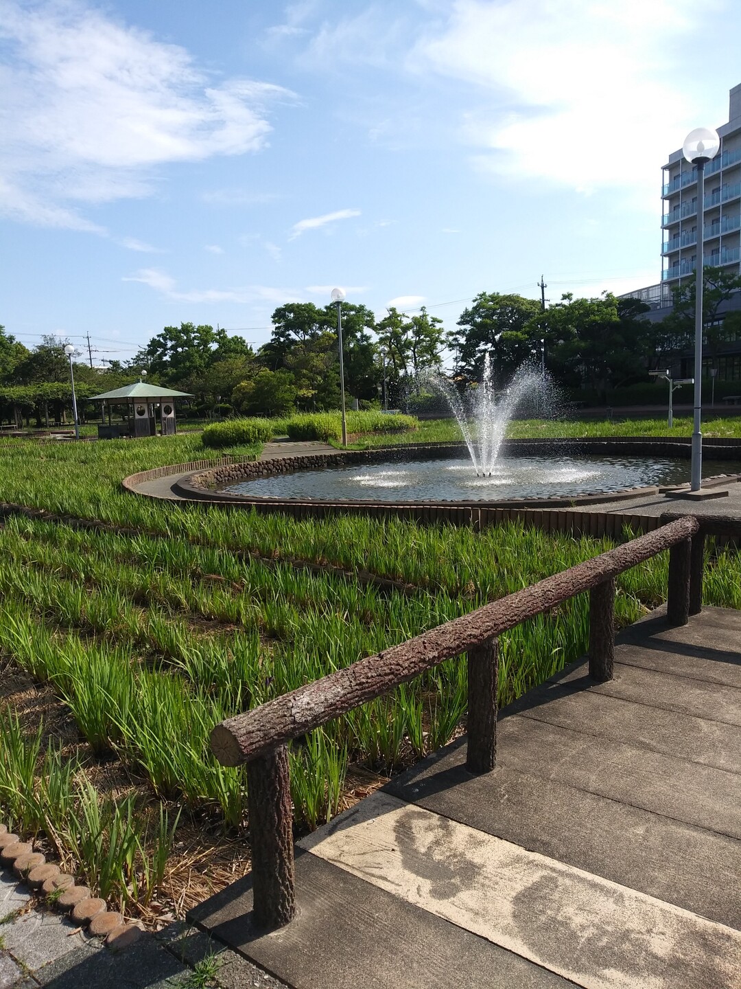 油ヶ淵を一周歩いてきました 日陰がほとん... / スギヒロさんのモーメント YAMAP / ヤマップ