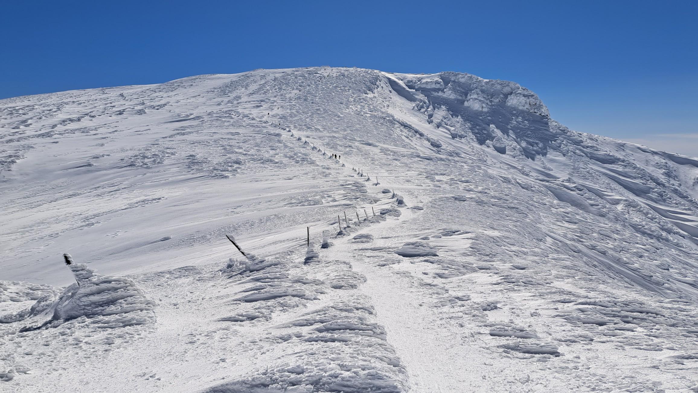 蔵王山・雁戸山・不忘山 ゆったりと歩きます