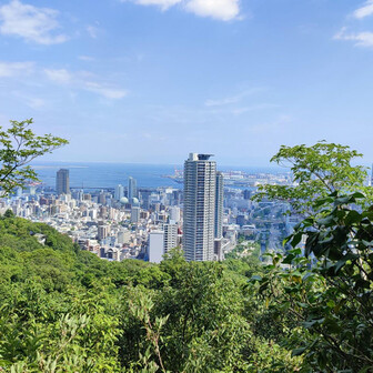 城山に登る途中で見た景色