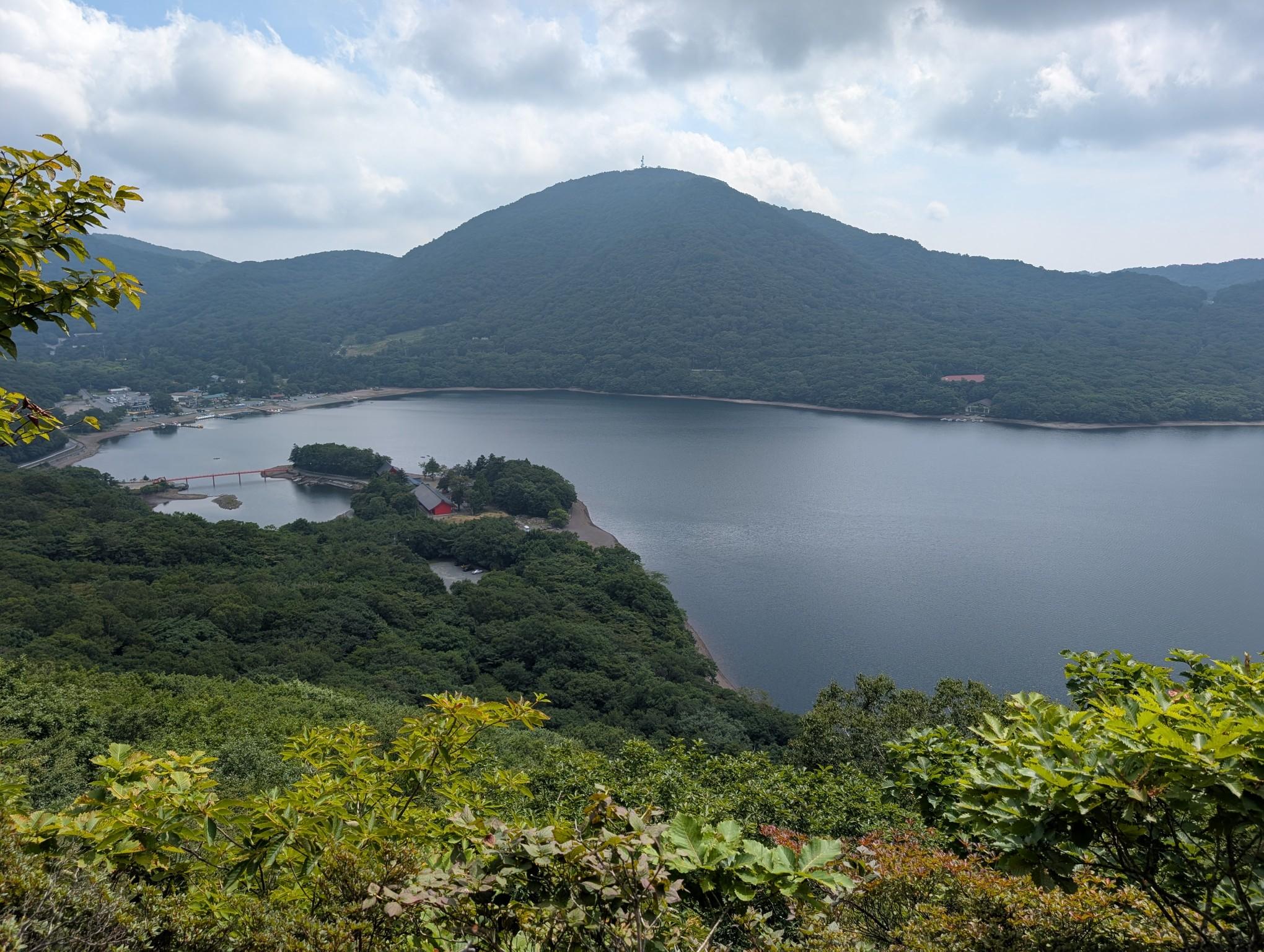 檜山 adidas ZX Alkyne 'Chinese New Year' S24181