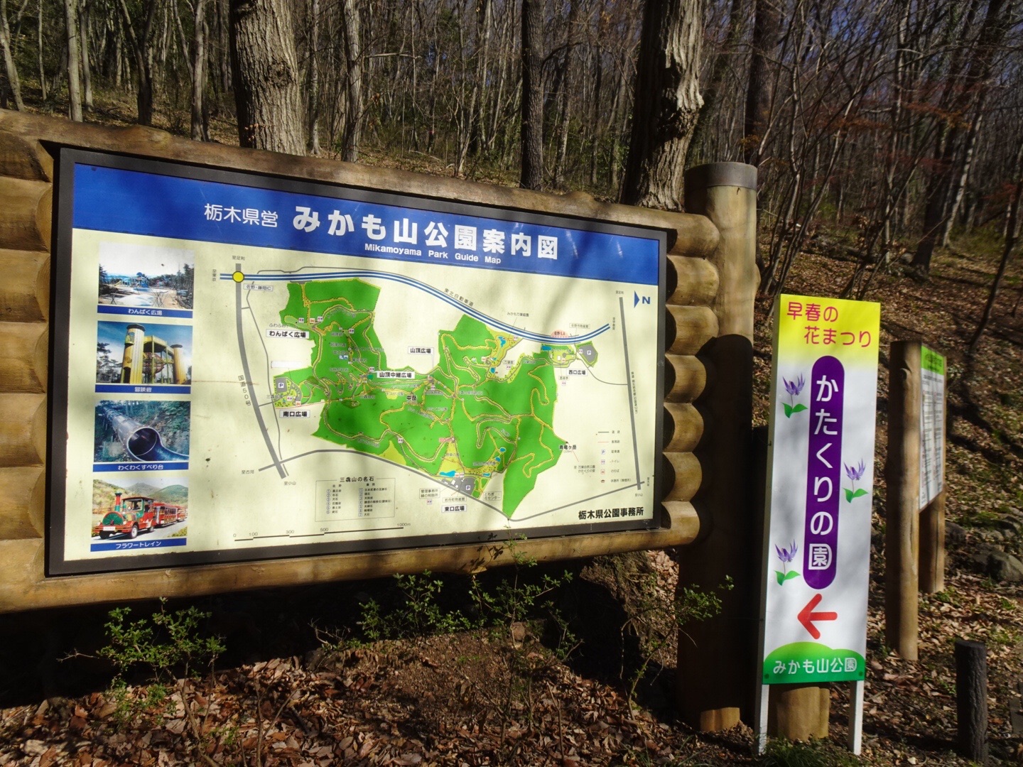 咲き乱れるカタクリ に会いにみかも山へ みさのらさんの三毳山 みかも山 の活動日記 Yamap ヤマップ