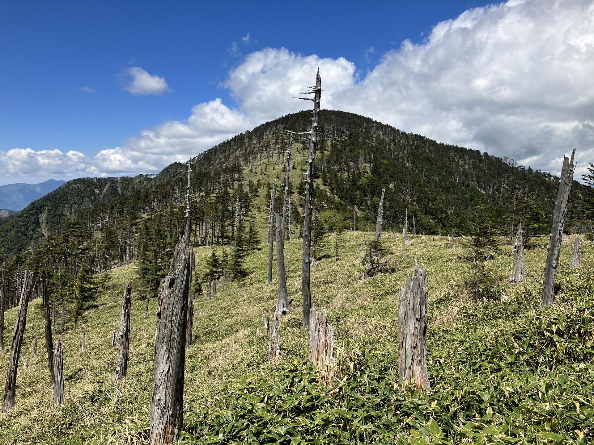 中ノ尾根山(2296m) ヒコウキ平(2155m)・白倉林道より / yosiさんの池口岳・加加森山・光岳の活動データ YAMAP / ヤマップ