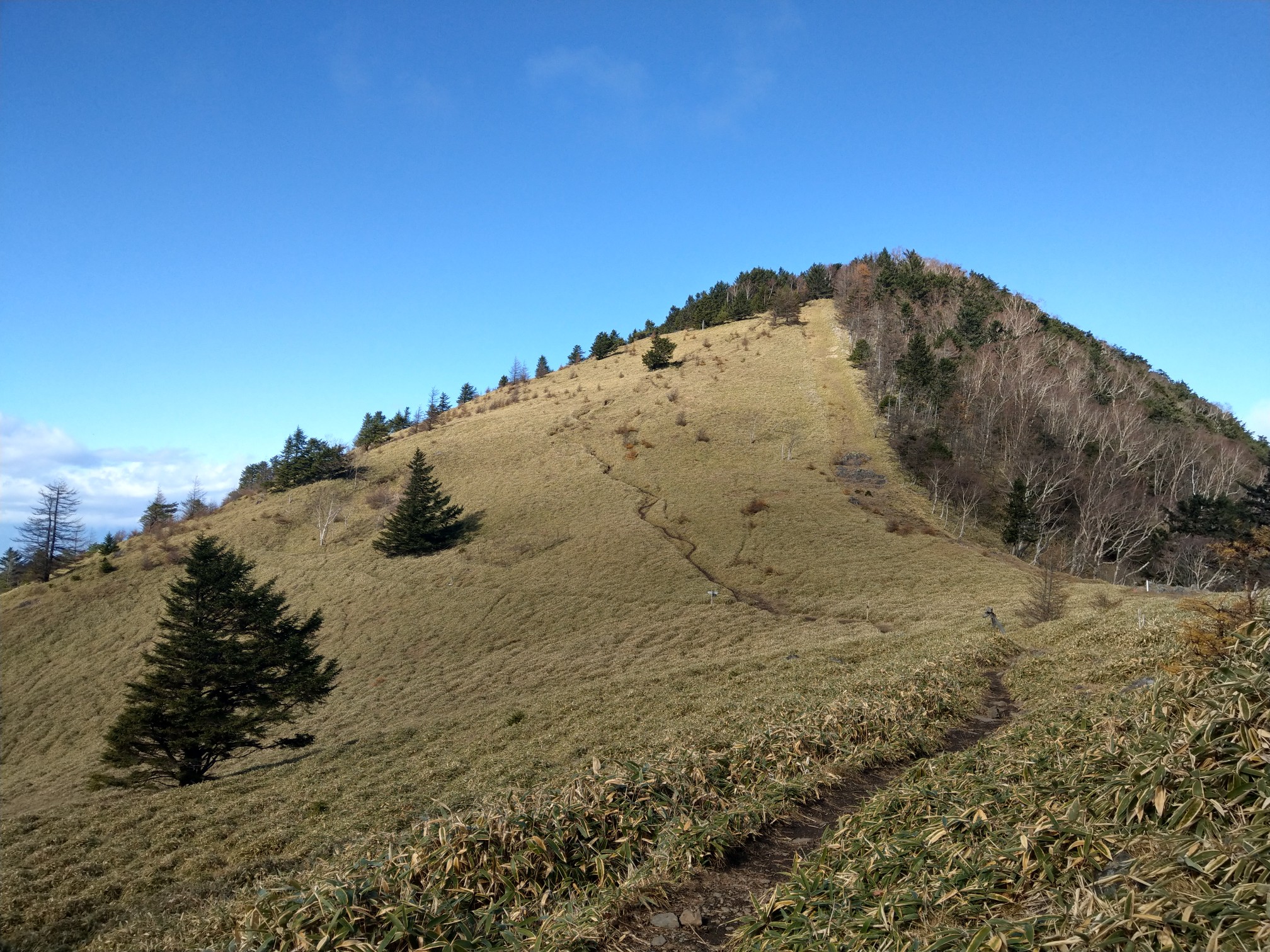28 紅葉な感じに大菩薩嶺 Syn Michee さんの大菩薩嶺 鶏冠山 大マテイ山の活動データ Yamap ヤマップ