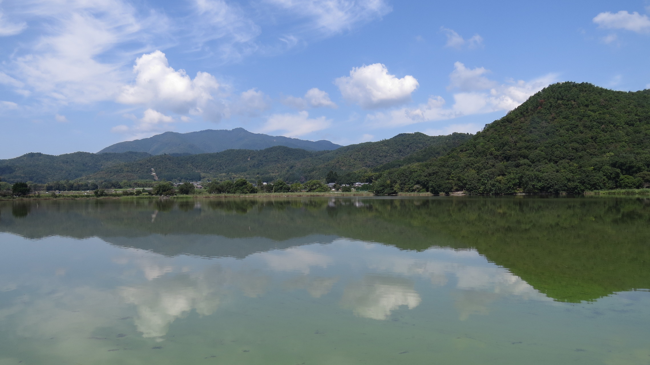 広沢の池から大覚寺・大沢の池へ、彼岸花を見に行こう！ / mpjpj742 