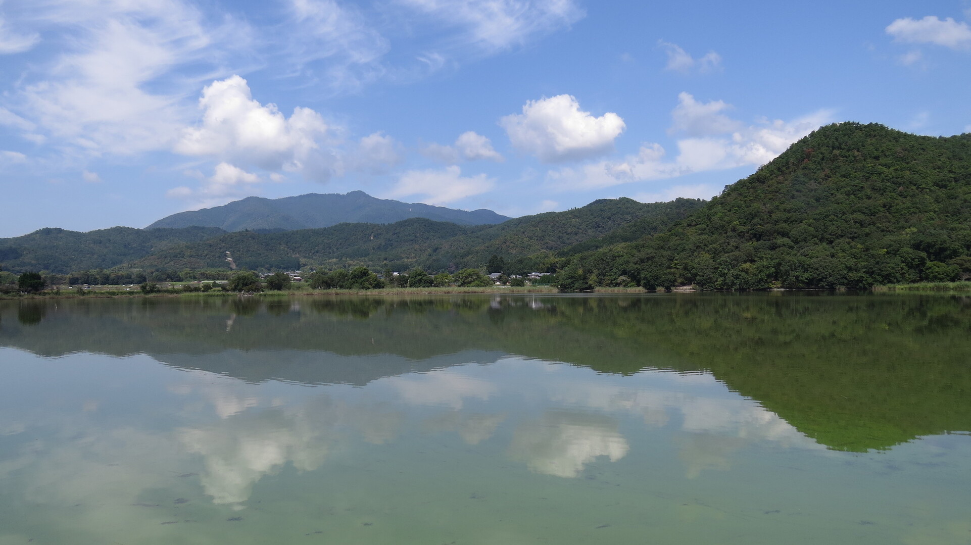 広沢の池から大覚寺 大沢の池へ 彼岸花を見に行こう Mpjpj742さんの京都一周トレイルの活動日記 Yamap ヤマップ