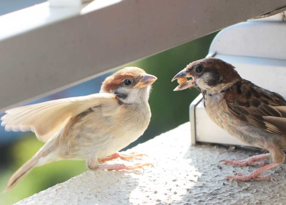 すずぽんのページ Yamap ヤマップ