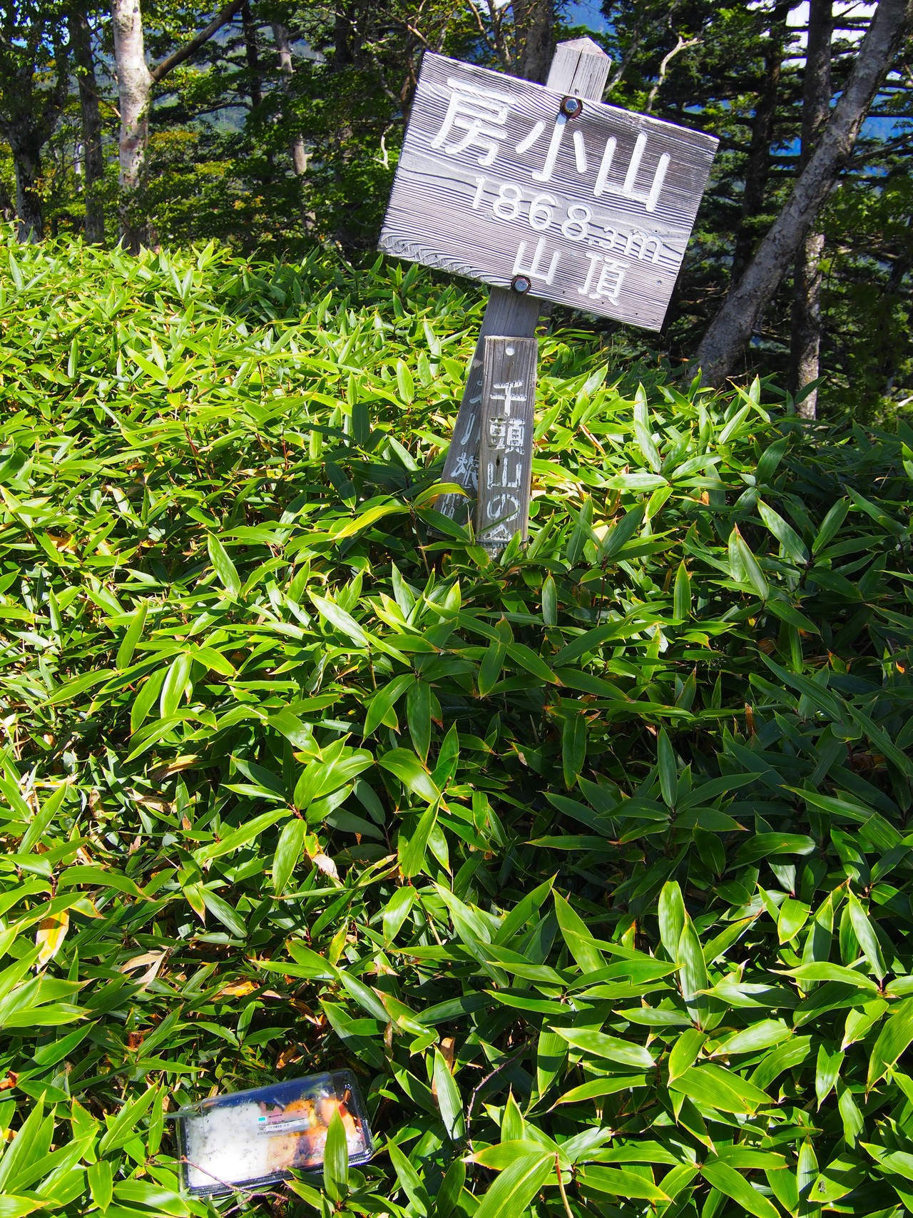 日帰り房小山 南アルプス深南部です Monstaminiさんの黒法師岳 前黒法師岳 不動岳の活動データ Yamap ヤマップ