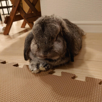 のび