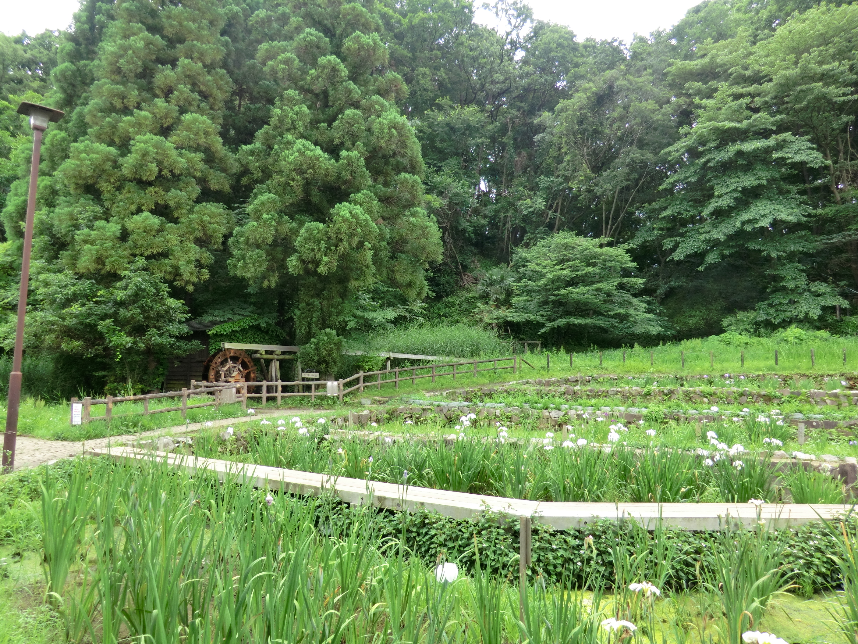 0621絹の道で南大沢まで 片倉城跡 大塚山 中山の尾根道 永昌院 都立大学 南大沢モンベル Hayakunさんの八王子市の活動データ Yamap ヤマップ