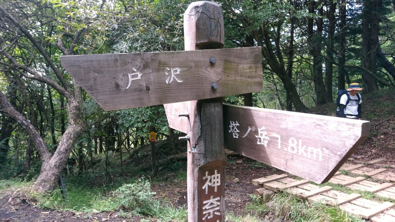 塔ノ岳 天神尾根 政次郎尾根 ヨハネさんの丹沢山の活動日記 Yamap ヤマップ