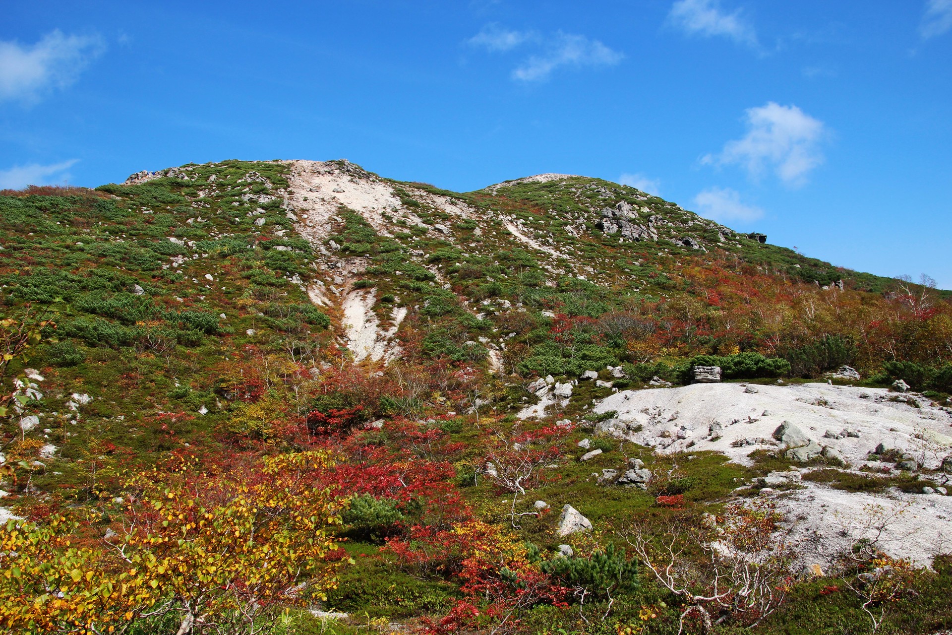 紅葉のニセコアンヌプリ山系 イワオヌプリにアタック Snowshoeさんのニセコアンヌプリ イワオヌプリ チセヌプリの活動日記 Yamap ヤマップ