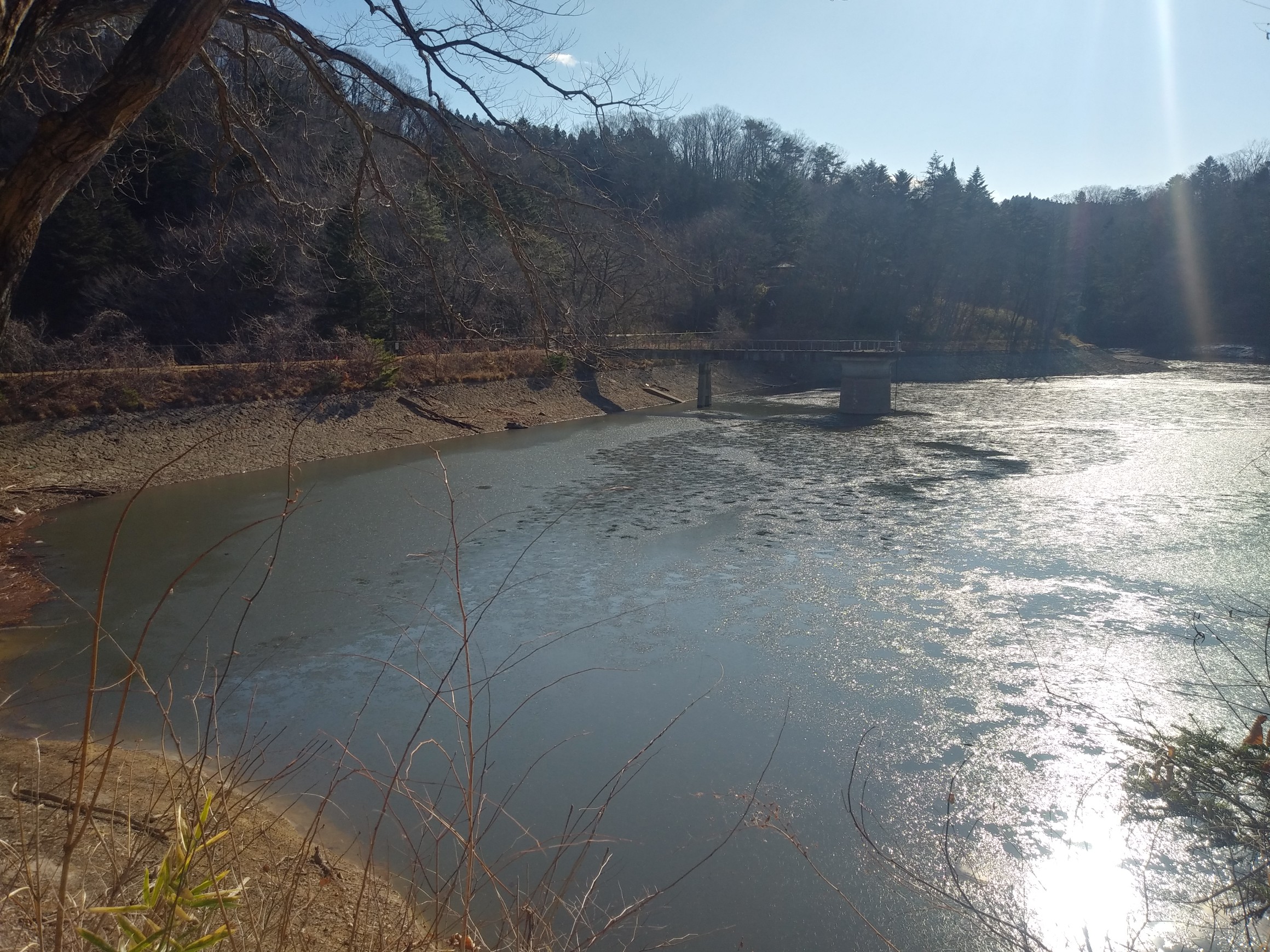 サイカチ沼19 12 29 ままっこさんの白沢五山 五ツ森 の活動データ Yamap ヤマップ
