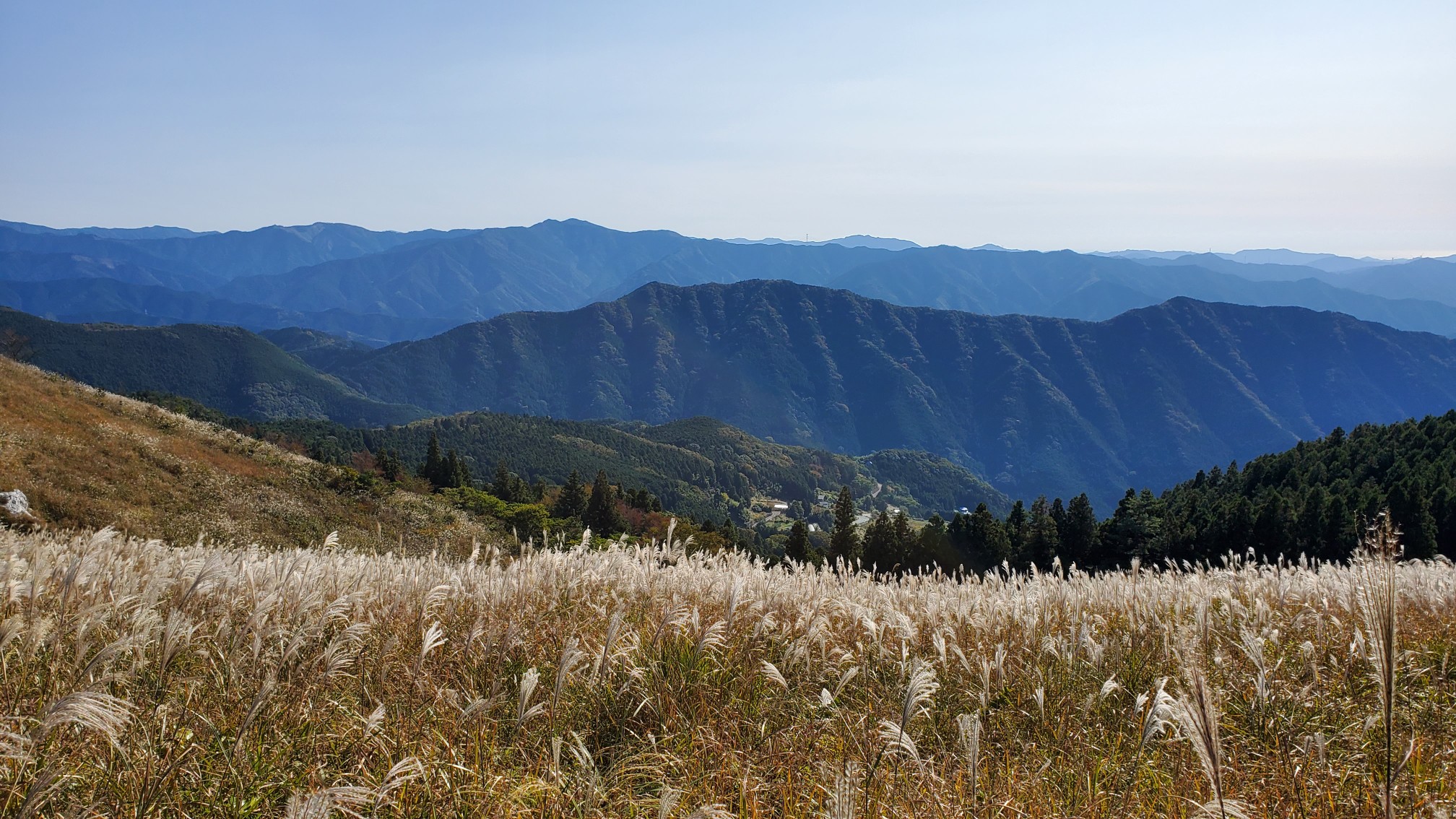 関西最大のススキの高原 生石高原 Time Tripperさんの生石ヶ峰 生石高原の活動データ Yamap ヤマップ