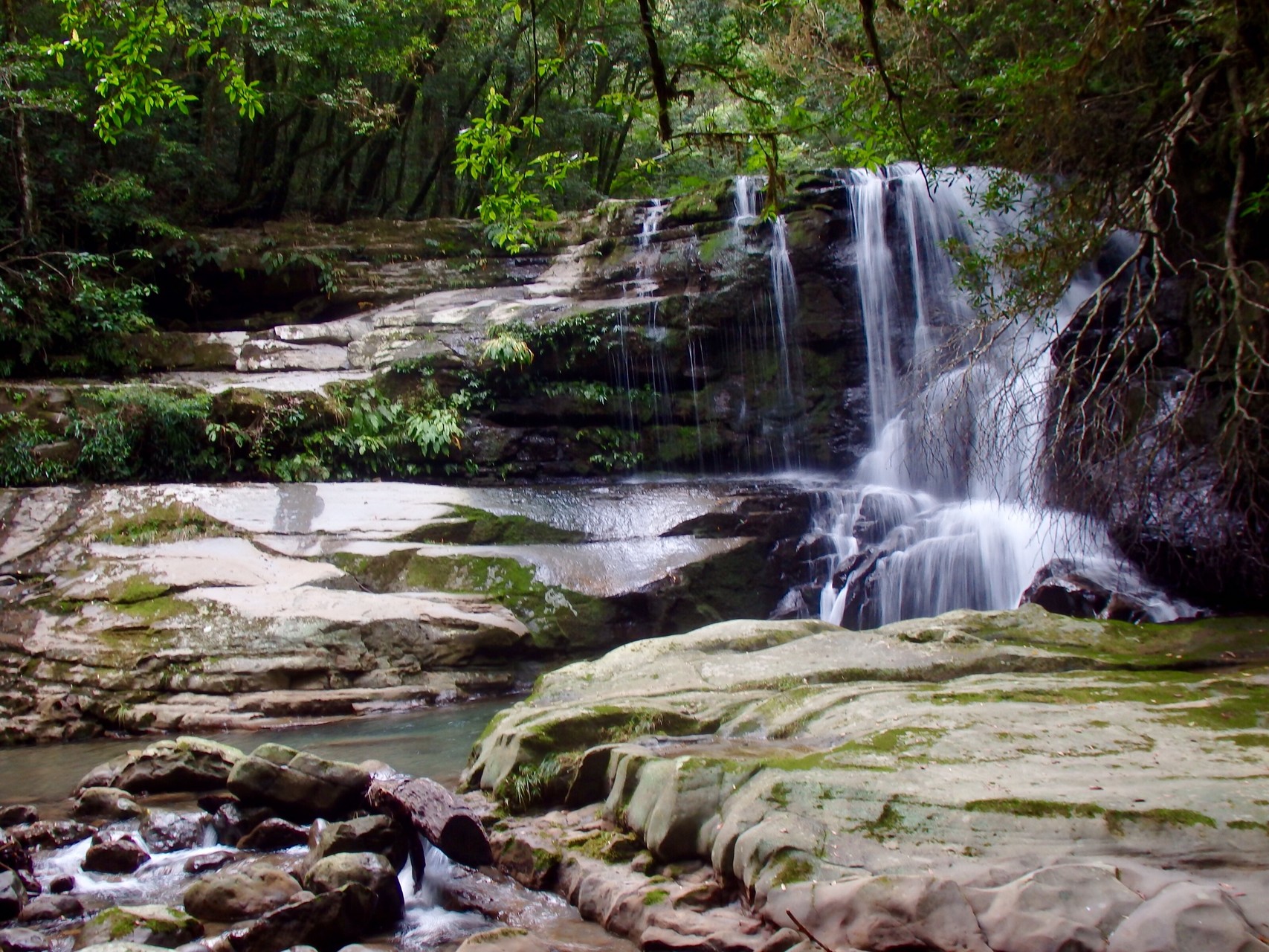 猪八重渓谷 岩壺山周回 ゆかりんさんの双石山 花切山 岩壺山の活動日記 Yamap ヤマップ