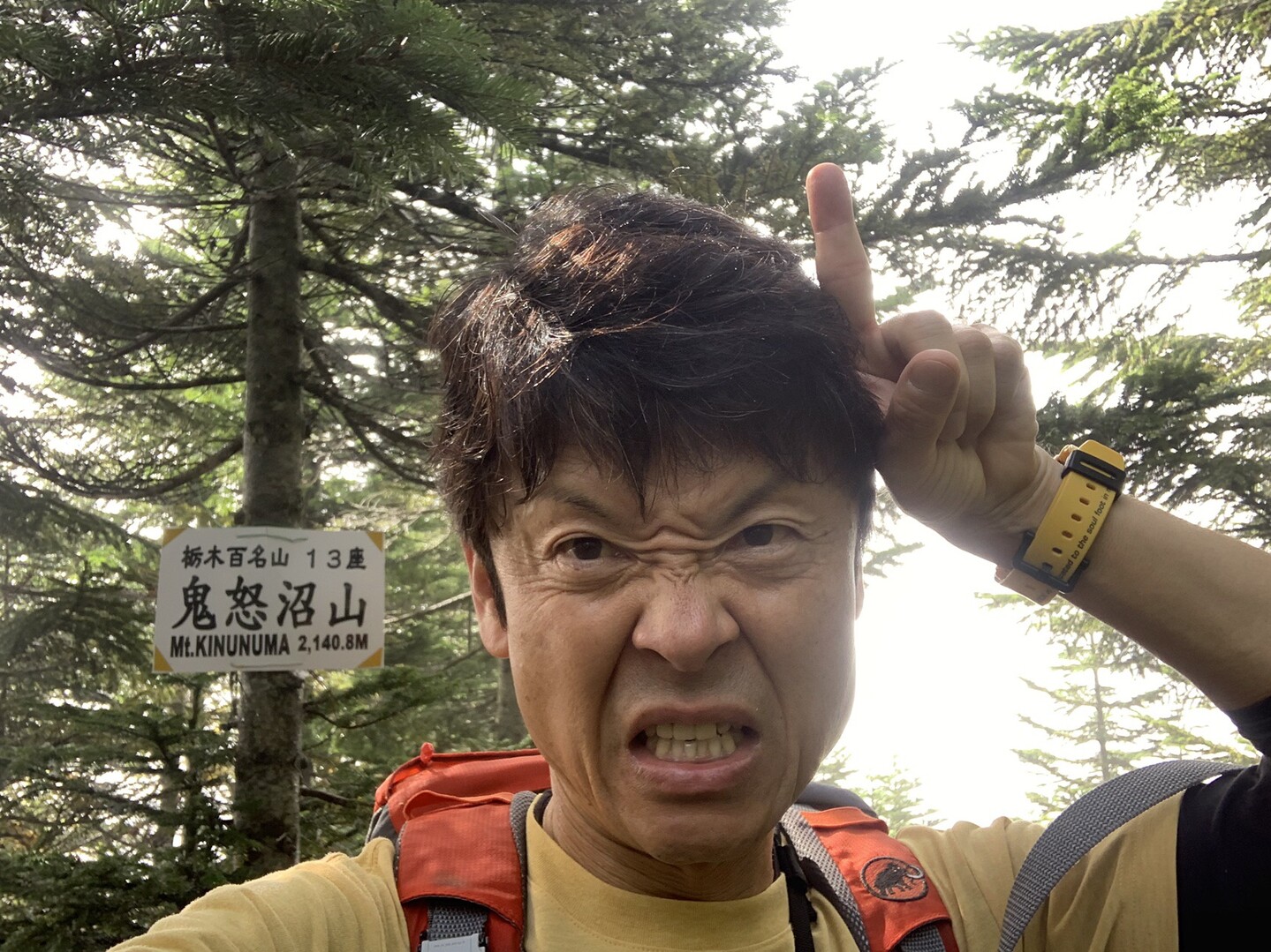 鬼怒沼山 日本一高い湿原を求めて 鬼怒沼山 物見山 黒岩山の写真19枚目 鬼が怒ってるポーズ 鬼怒沼だけに Yamap ヤマップ