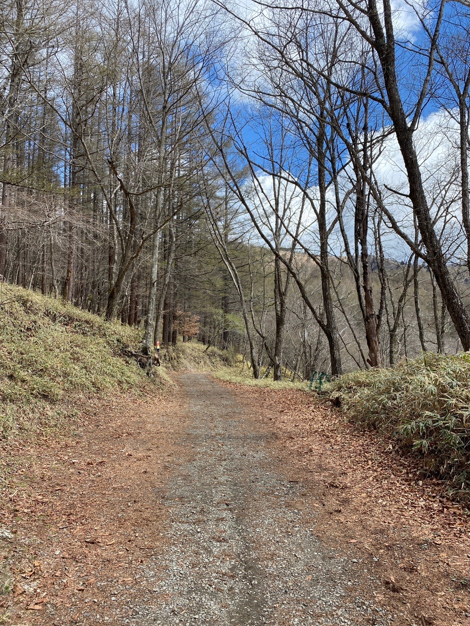 大菩薩嶺でテン泊デビュー カズっちさんの大菩薩嶺 鶏冠山 大マテイ山の活動日記 Yamap ヤマップ