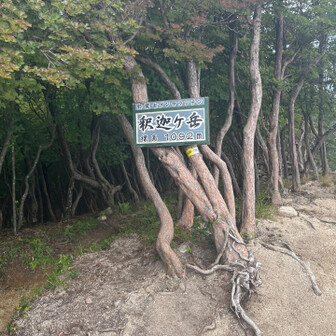テッペン
釈迦でーす