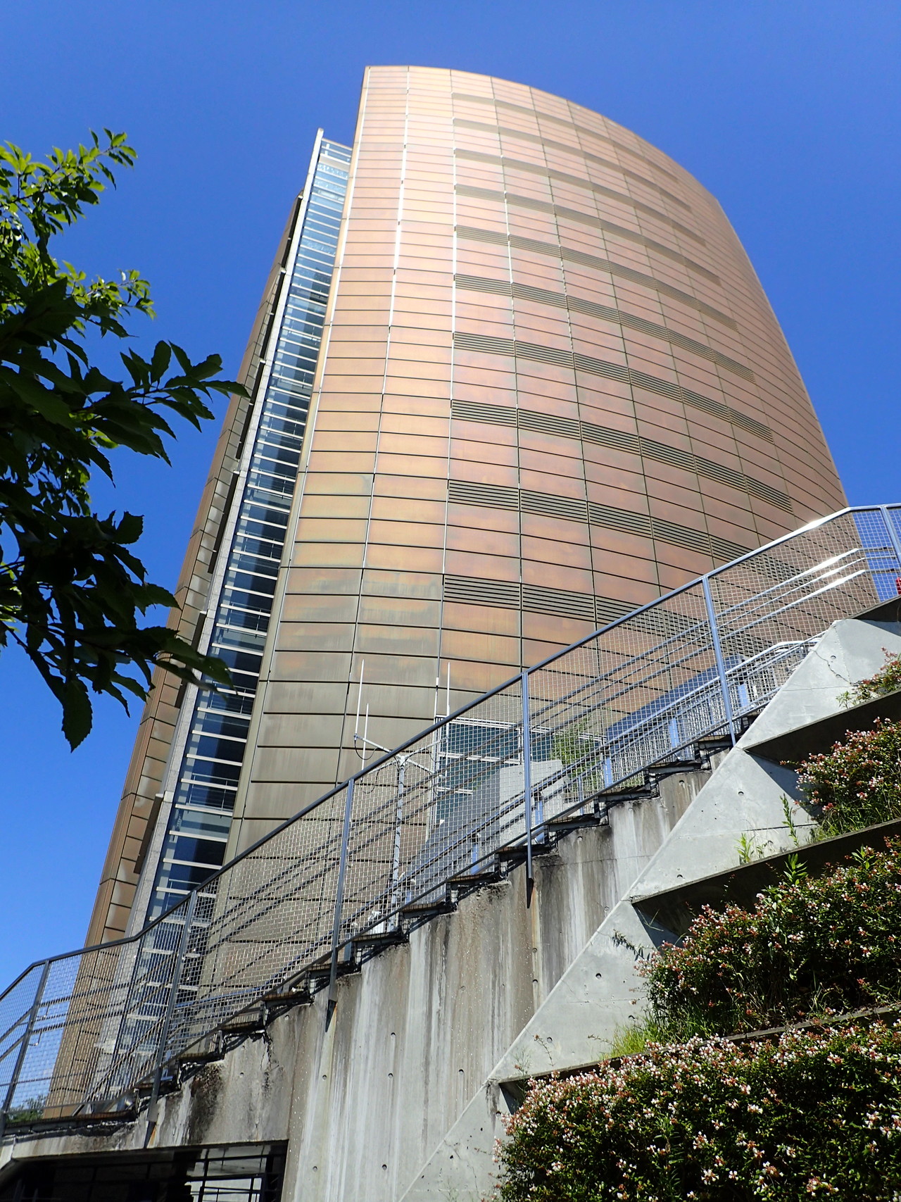 平和公園アクアタワー わんだーさんの名古屋市の活動データ Yamap ヤマップ