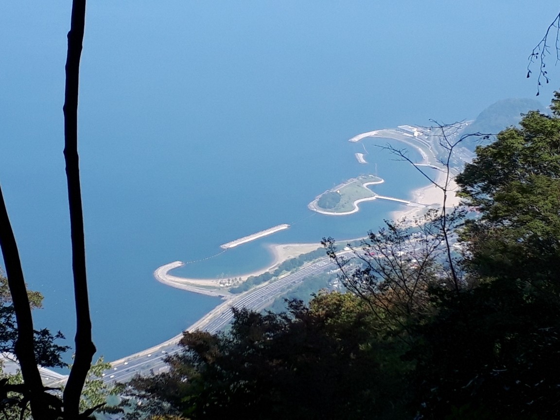 高崎山登山道でおサルに遭遇 Mamyanさんの大分市の活動データ Yamap ヤマップ