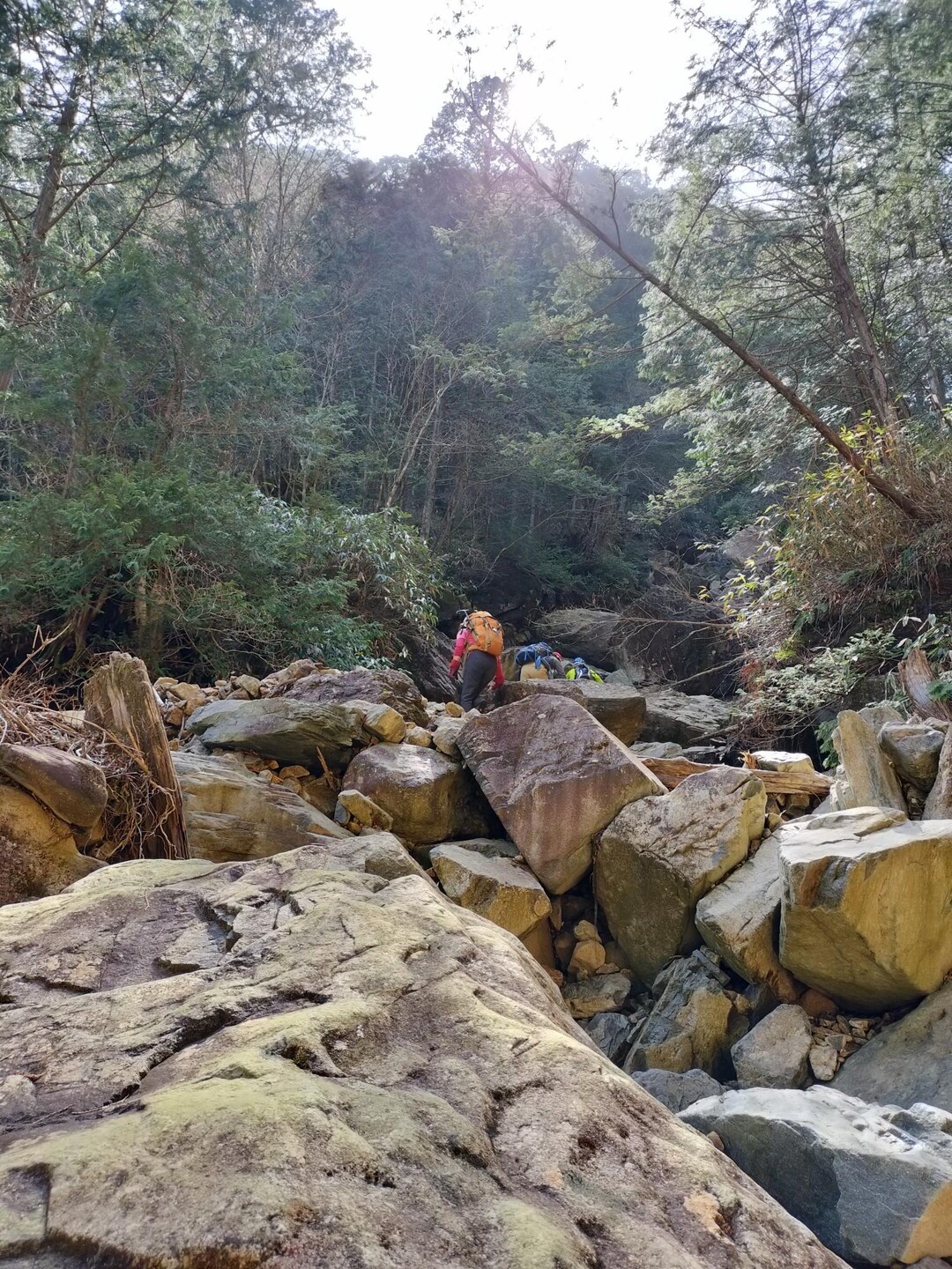 井出ノ小路山 / inojunさんの奥三界岳・夕森山の活動データ | YAMAP / ヤマップ