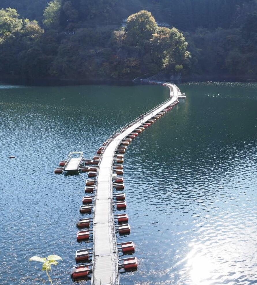 麦山の浮橋(ドラム缶橋)と紅葉🍁 ... / fumiさんさんのモーメント | YAMAP / ヤマップ