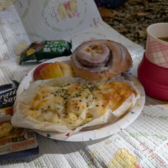 ランチにします

温かいスープと美味しいパン(⁠✯⁠ᴗ⁠✯⁠)
koroponさんが持ってきてくれました