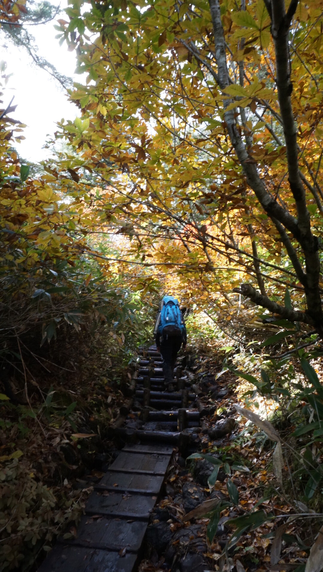 燧ヶ岳 至仏山 紅葉登山 尾瀬前泊 なべしんさんの尾瀬 燧ヶ岳の活動日記 Yamap ヤマップ