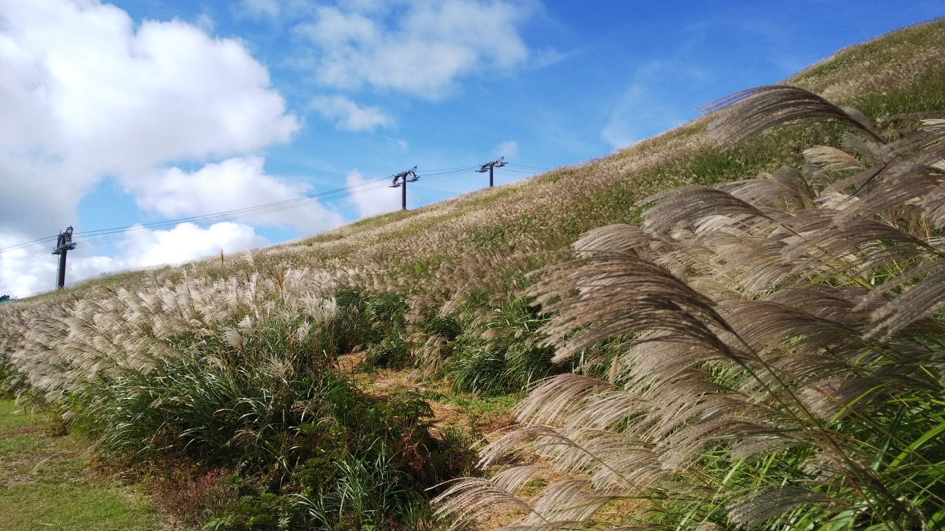 箱館山 淡海湖 処女湖 ふくさんの高島トレイル その1の活動データ Yamap ヤマップ