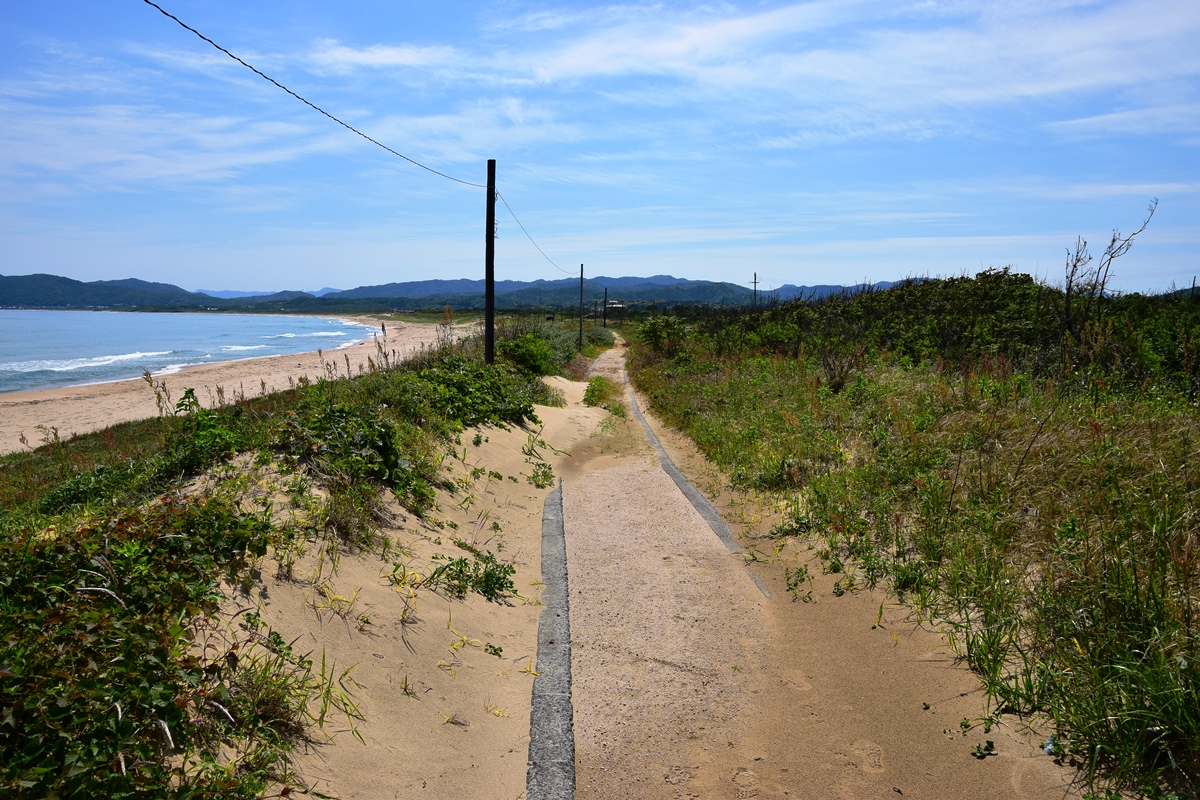 砂で埋もれた遊歩道を行きます。